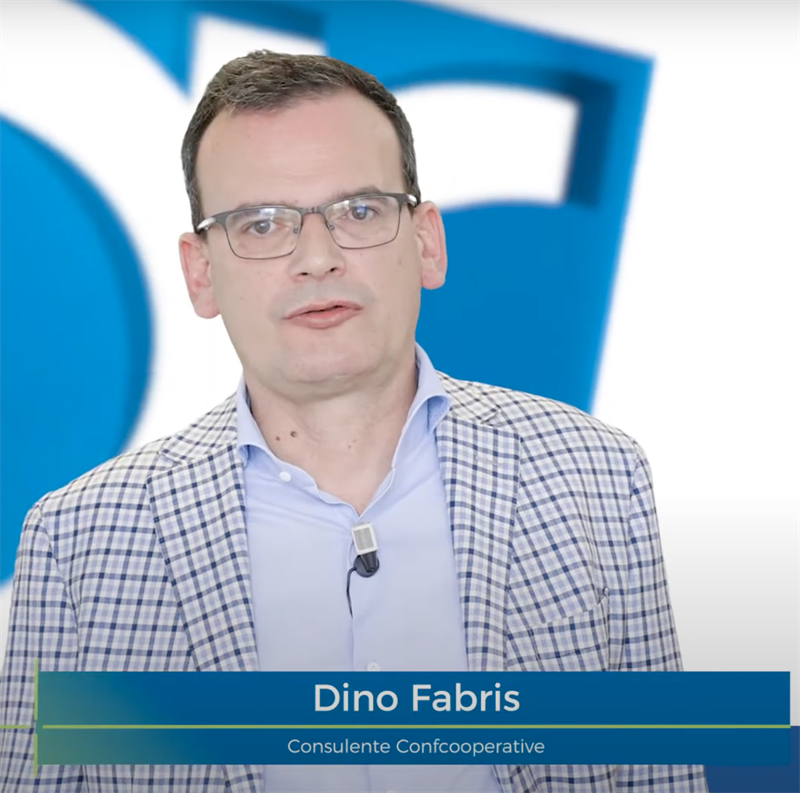 DINO FABRIS