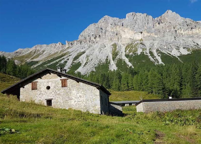 Master in Innovazione dei Sistemi agrosilvopastorali della Montagna. Imprese e territori